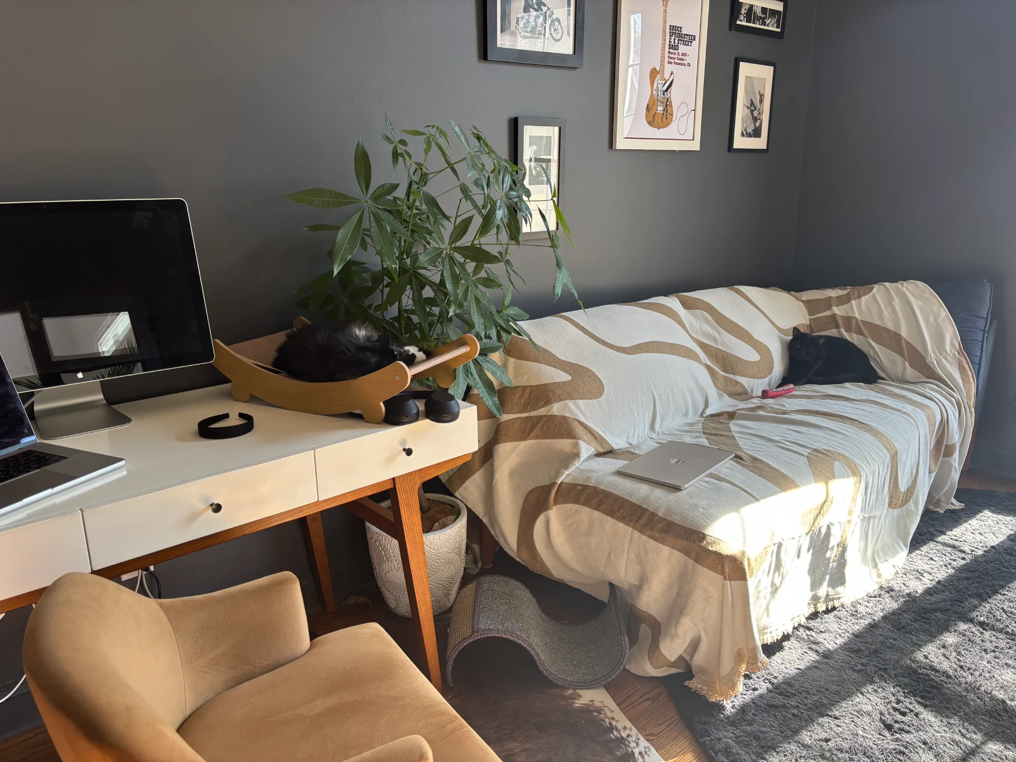 Office/Guest Room